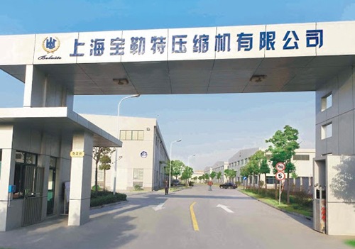 Establishment of the Company