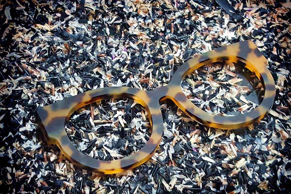 Bolaite Air Compressor Provides Compressed Air Solutions in Eyewear Production
