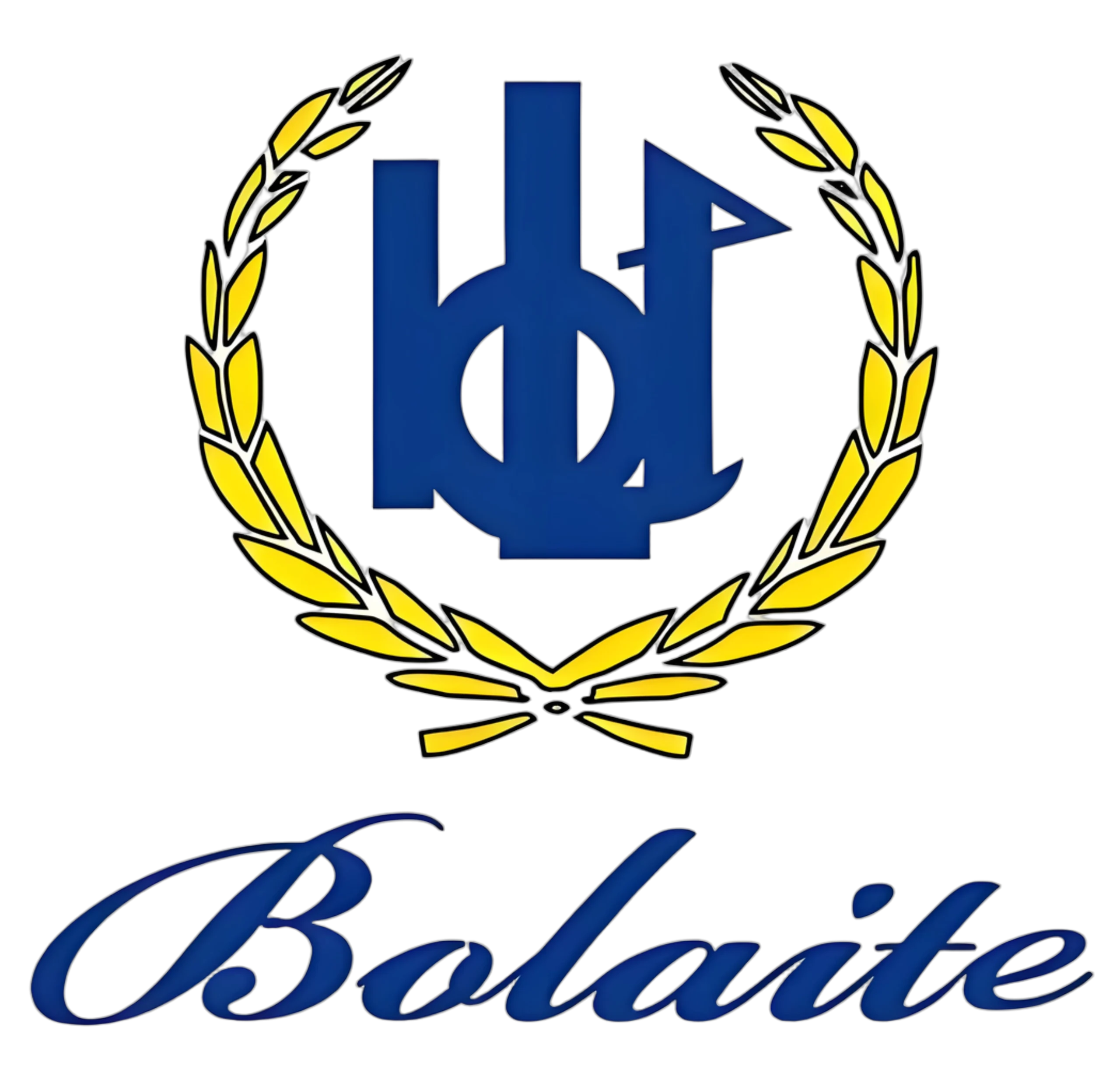 Bolaite air compressor